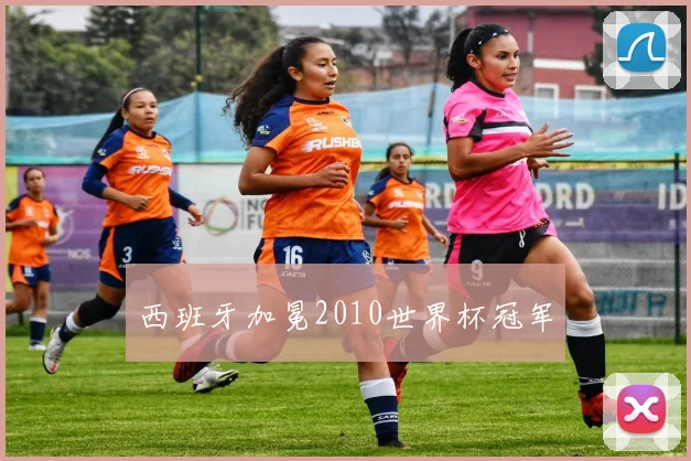西班牙加冕2010世界杯冠军