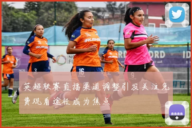 英超联赛直播渠道调整引发关注免费观看途径成为焦点